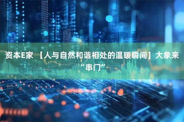 资本E家 【人与自然和谐相处的温暖瞬间】大象来“串门”